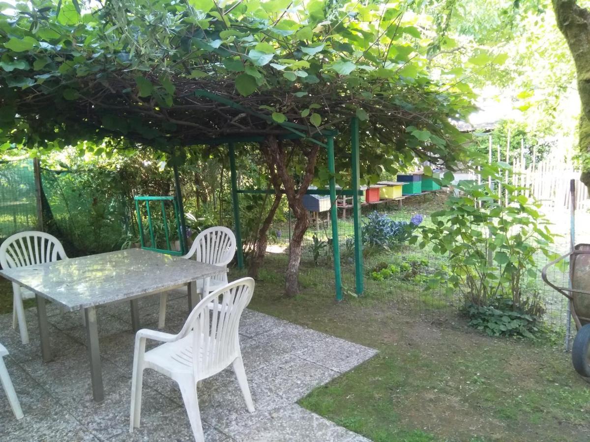 Appartamento con balcone e giardino Massa  Esterno foto